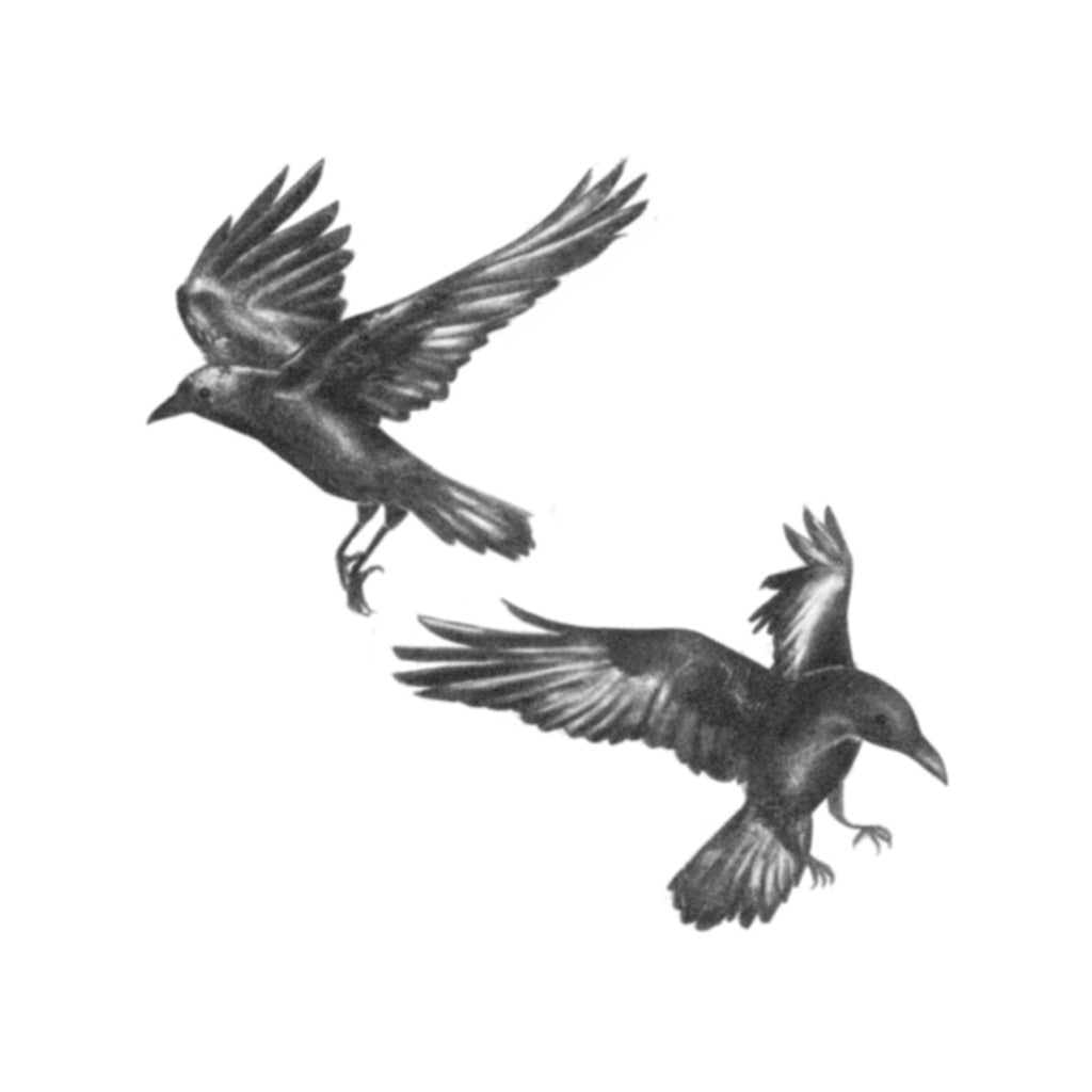 Huginn and Muninn Tattoo