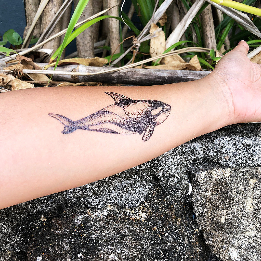 Orca Whale Tattoo
