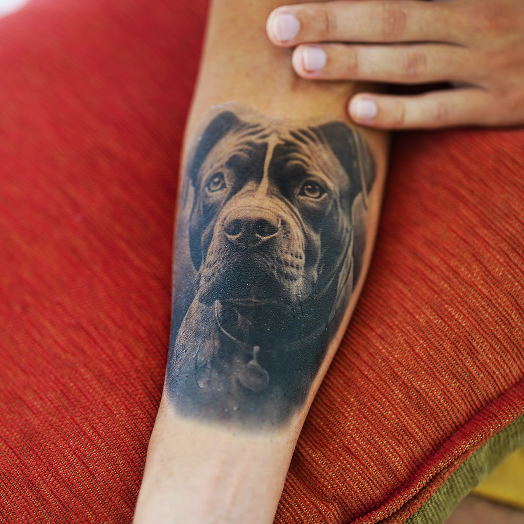 Stafford Tattoo