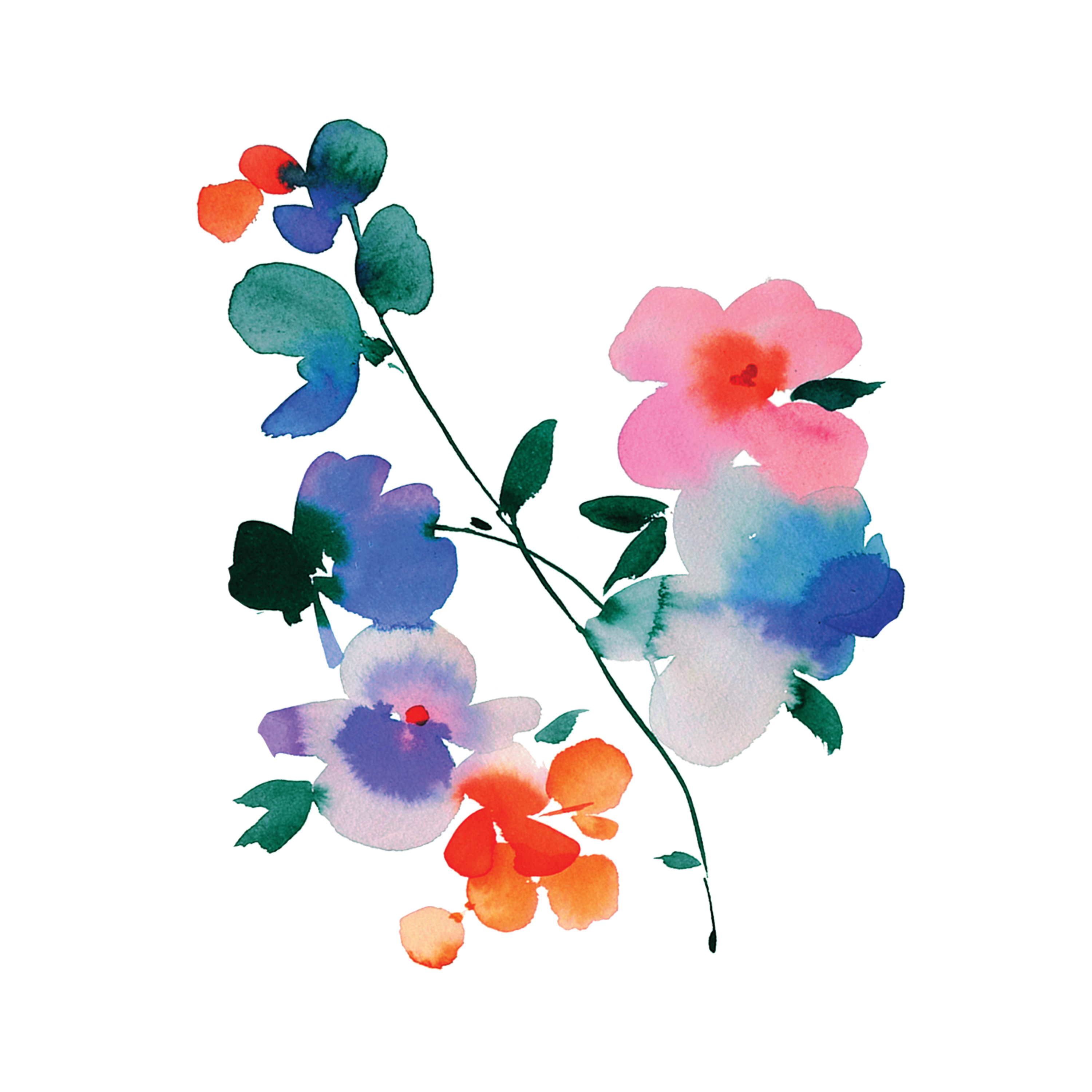 Blue Orchid Tattoo-Tattoo Cultures