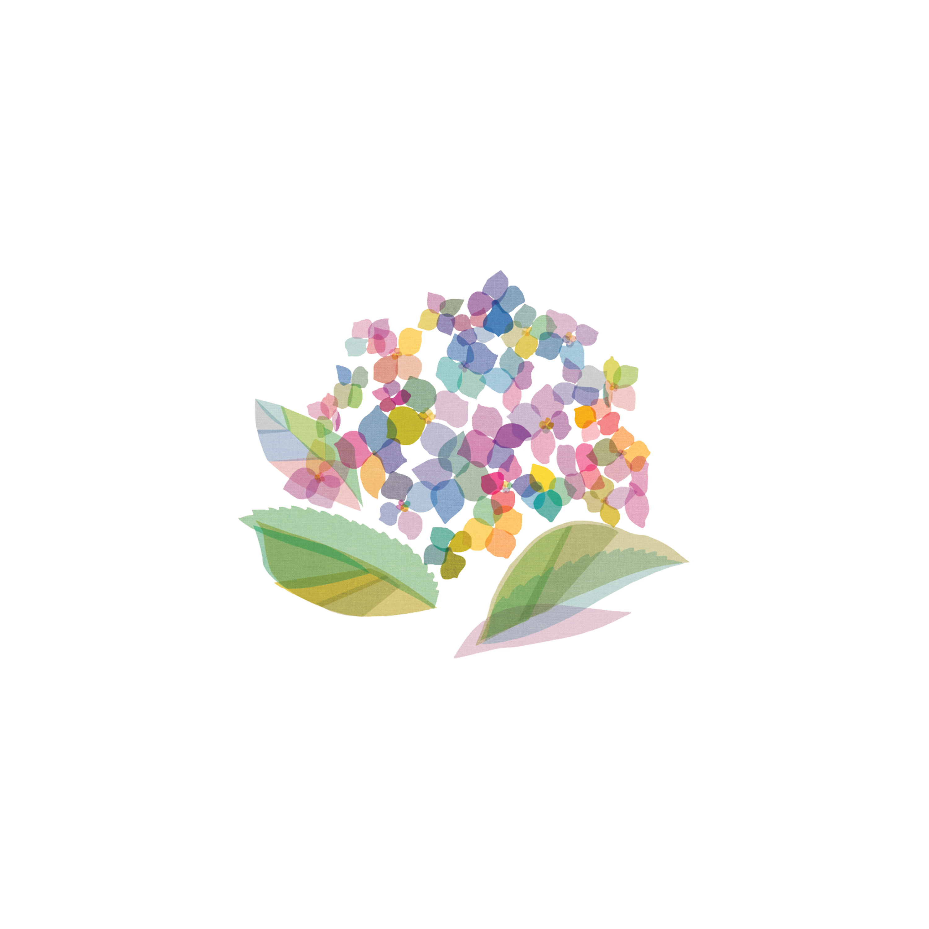 Hydrangea Tattoo-Tattoo Cultures