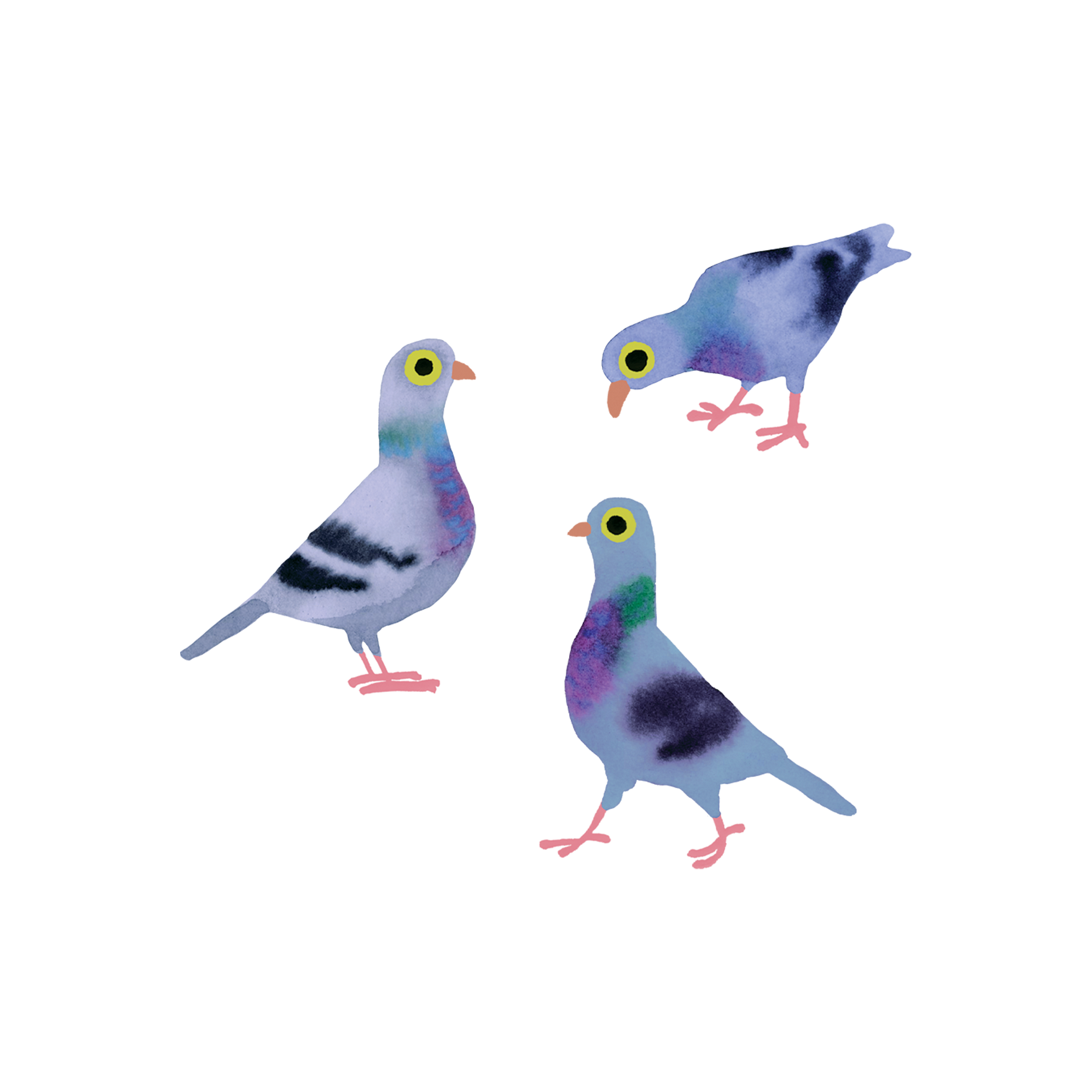 Pigeon Pals Tattoo-Tattoo Cultures