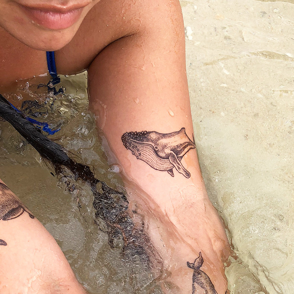 Blue Whale Tattoo