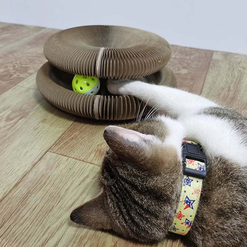 Magic Organ Cat Scratching Board - Comes with A Toy Bell Ball