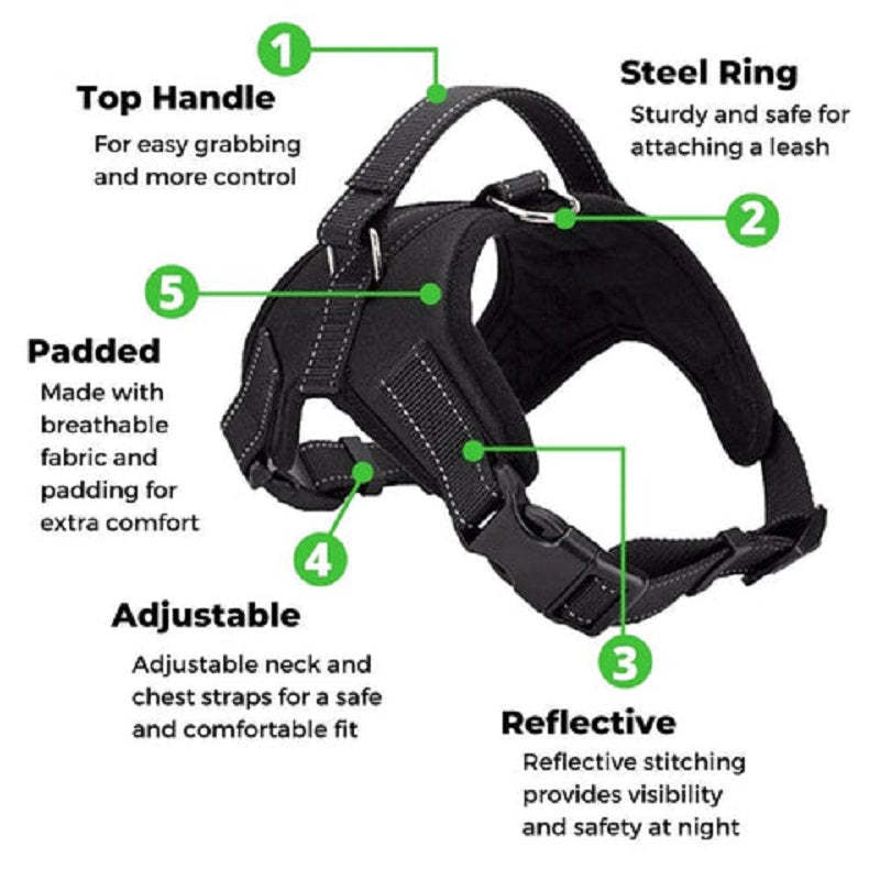 Adjustable Safety Dog Harness