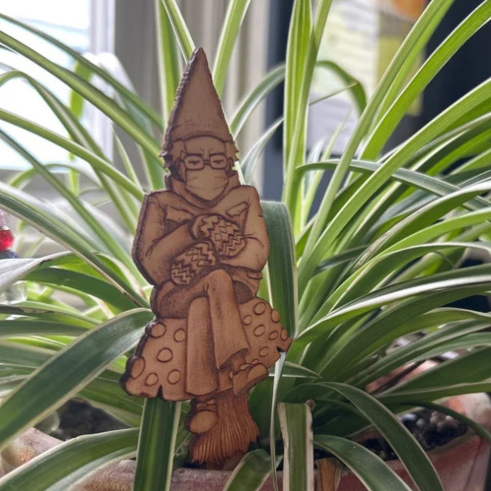 Bern in a fern 🍄 Grumpy Bernie Gnome Plant - Garden Wood Stake