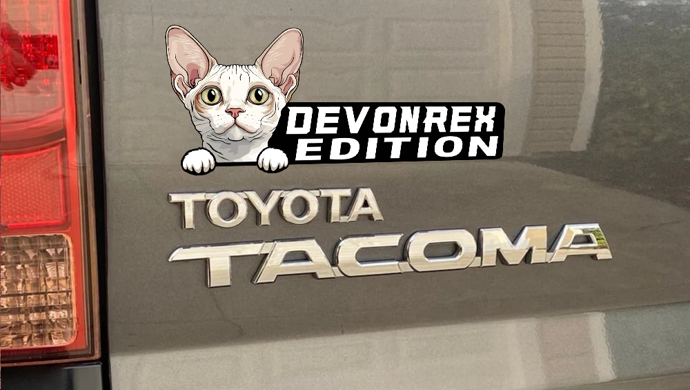 Devonrex Cat Car Badge Laser Cutting Car Emblem CE204