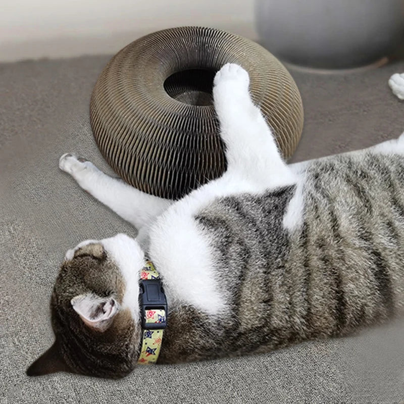 Magic Organ Cat Scratching Board - Comes with A Toy Bell Ball