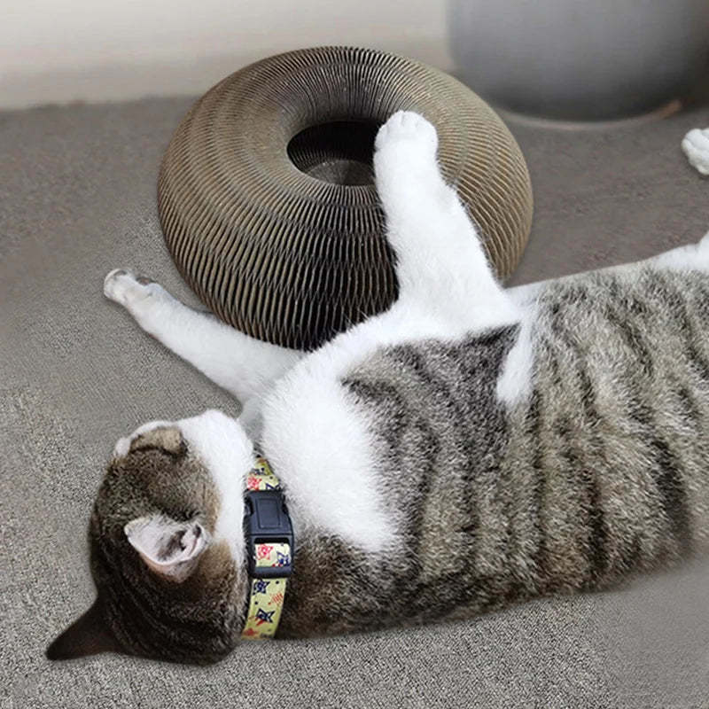 Magic Organ Cat Scratching Board - Comes with A Toy Bell Ball
