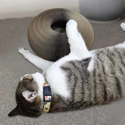 Magic Organ Cat Scratching Board - Comes with A Toy Bell Ball