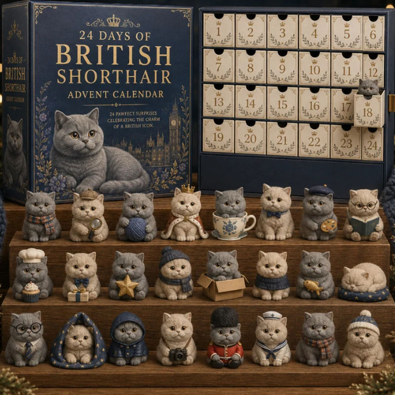 😺2026 Cat Countdown Advent Calendar