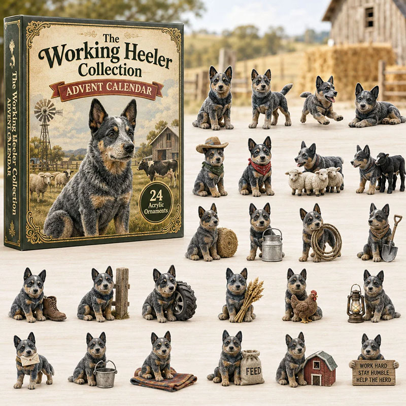 ✨24 Days Heelers Acrylic Ornament Advent Calendar
