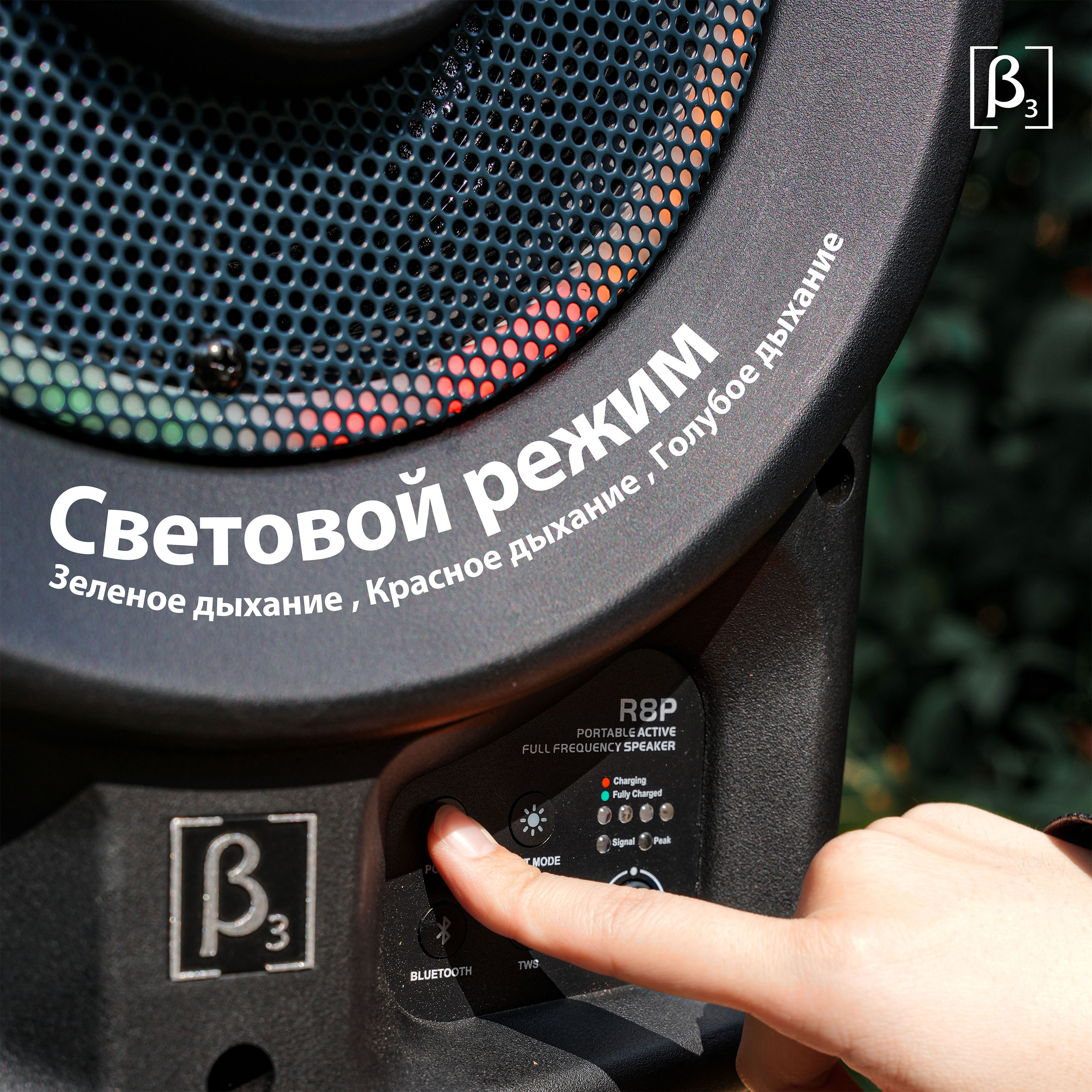 {"default":"Callout image showing R8P speaker features and panel functions with labeled lines"}
