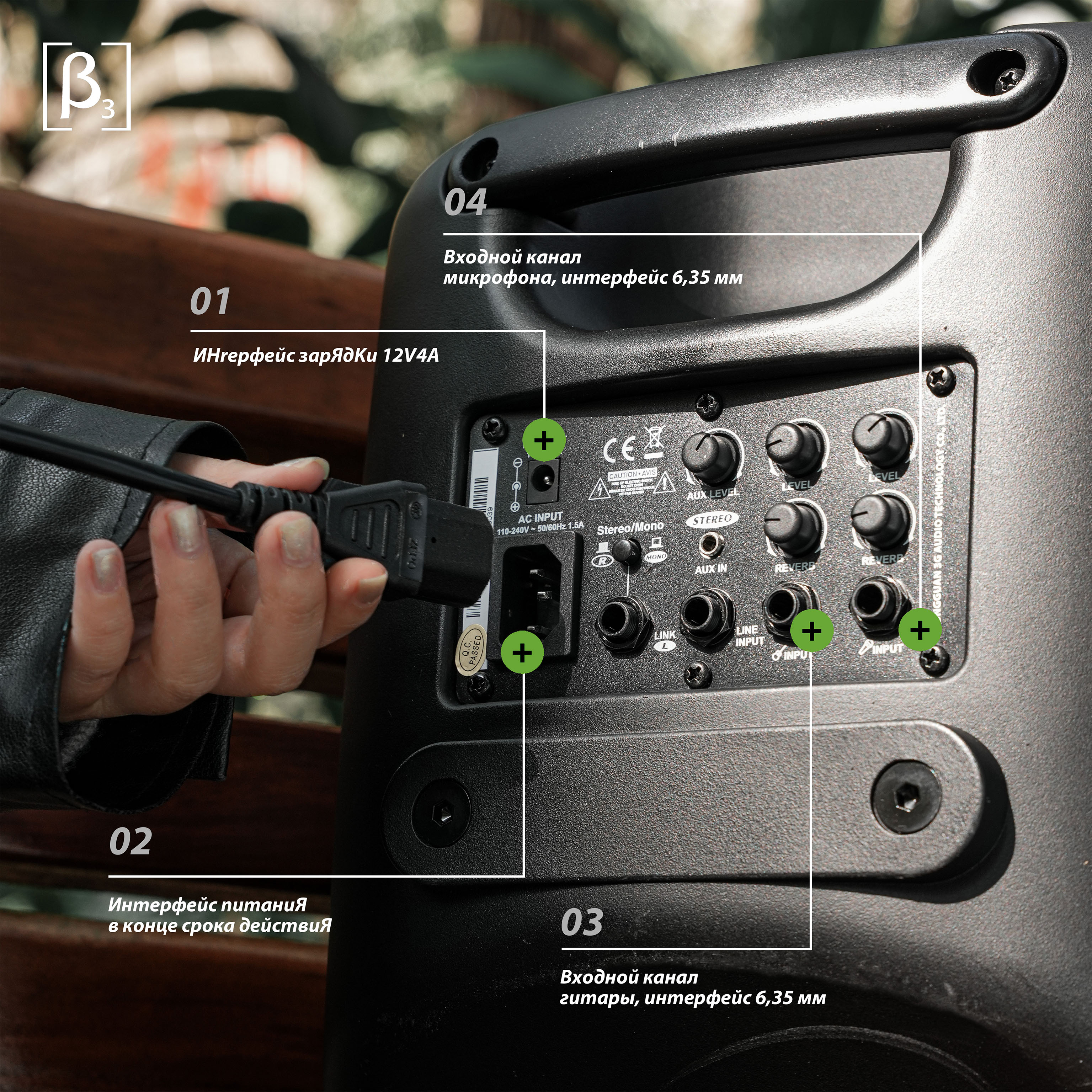 {"default":"Annotated diagram of Betathree R8P speaker panel with labeled inputs and controls"}

