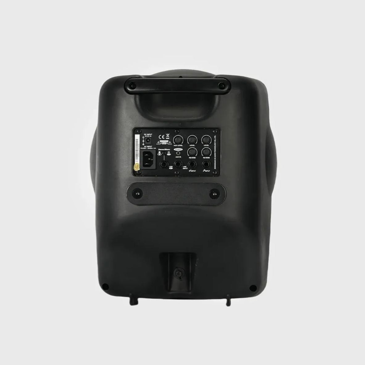 Back panel of Betathree R8P portable speaker with connectors
