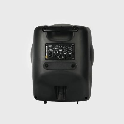 Back panel of Betathree R8P portable speaker with connectors
