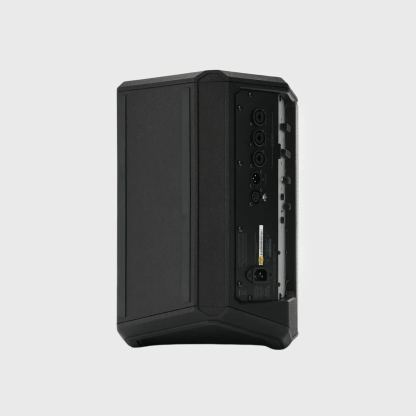 Back panel of Betathree MB3 professional speaker with connectors