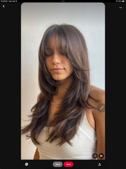 100% Human Hair SIlk top full lace wig-BabesWIG