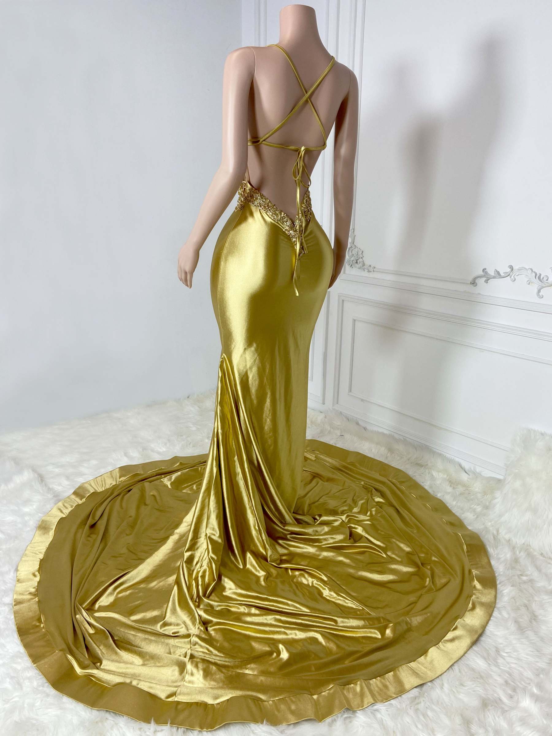 Golden V Neck Elegance Gown