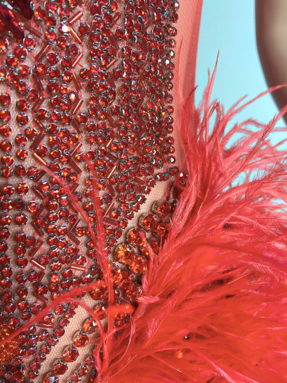 Dazzle Red See-Through Gown