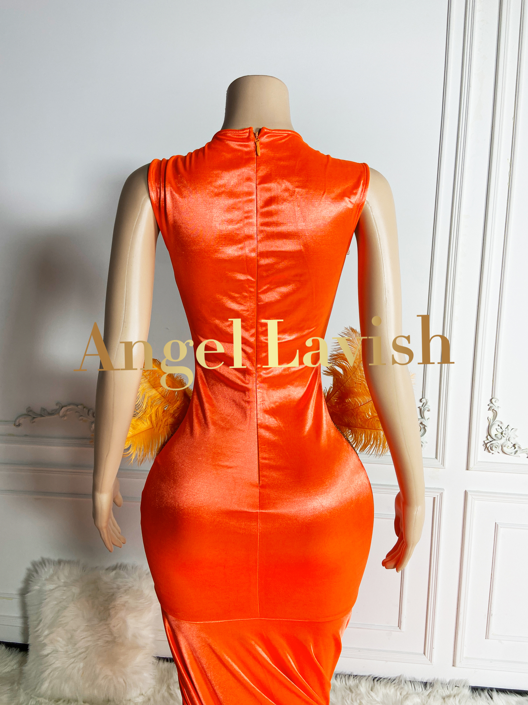 Orange Gowns TH24051001
