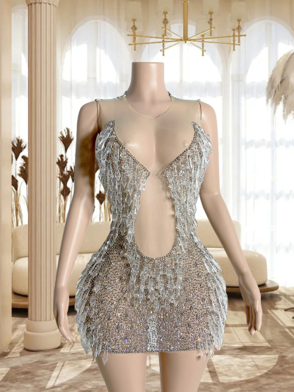 Silver Mini Dress TH24070201