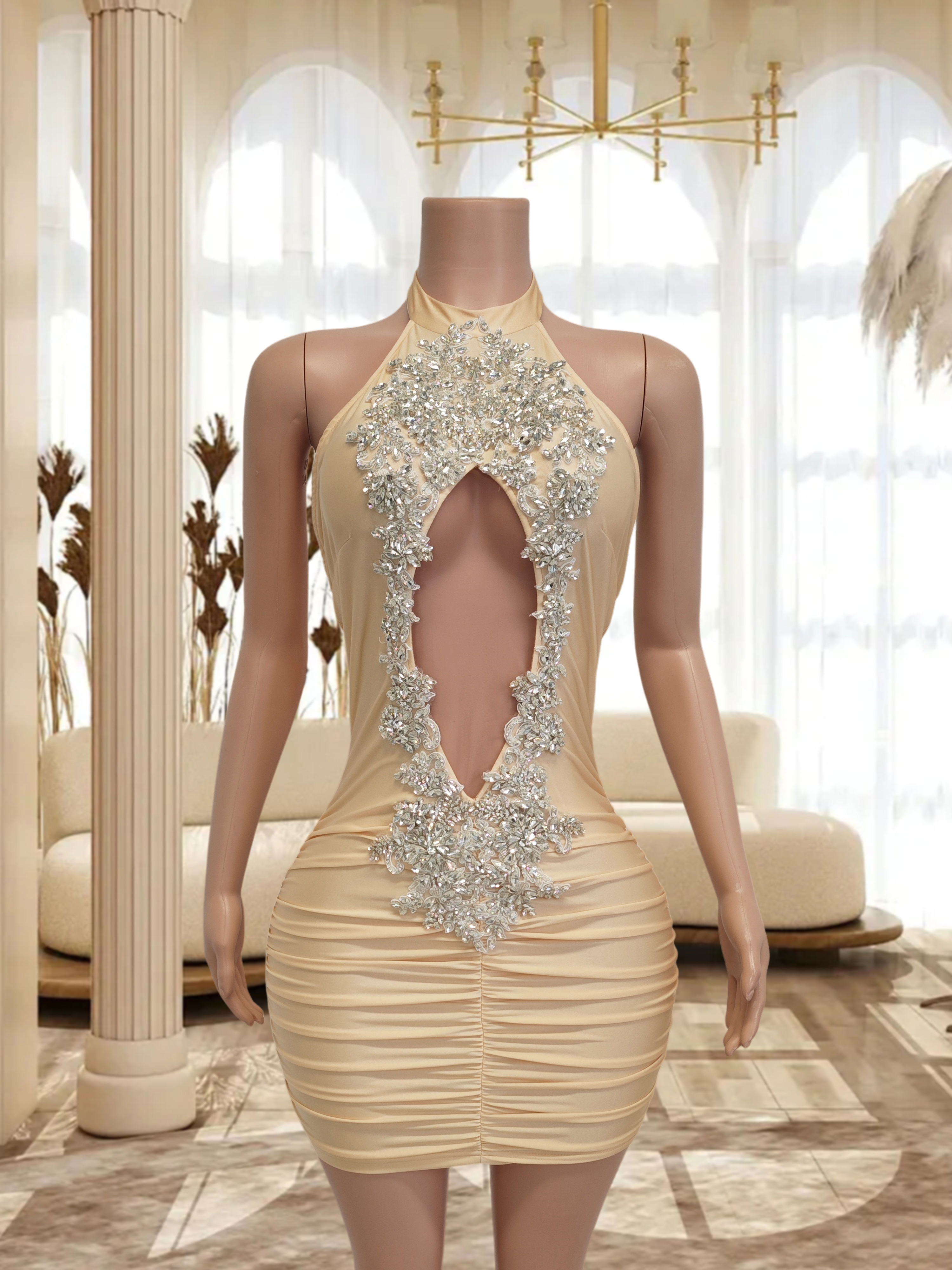 Skin Mini Dress TH2412048