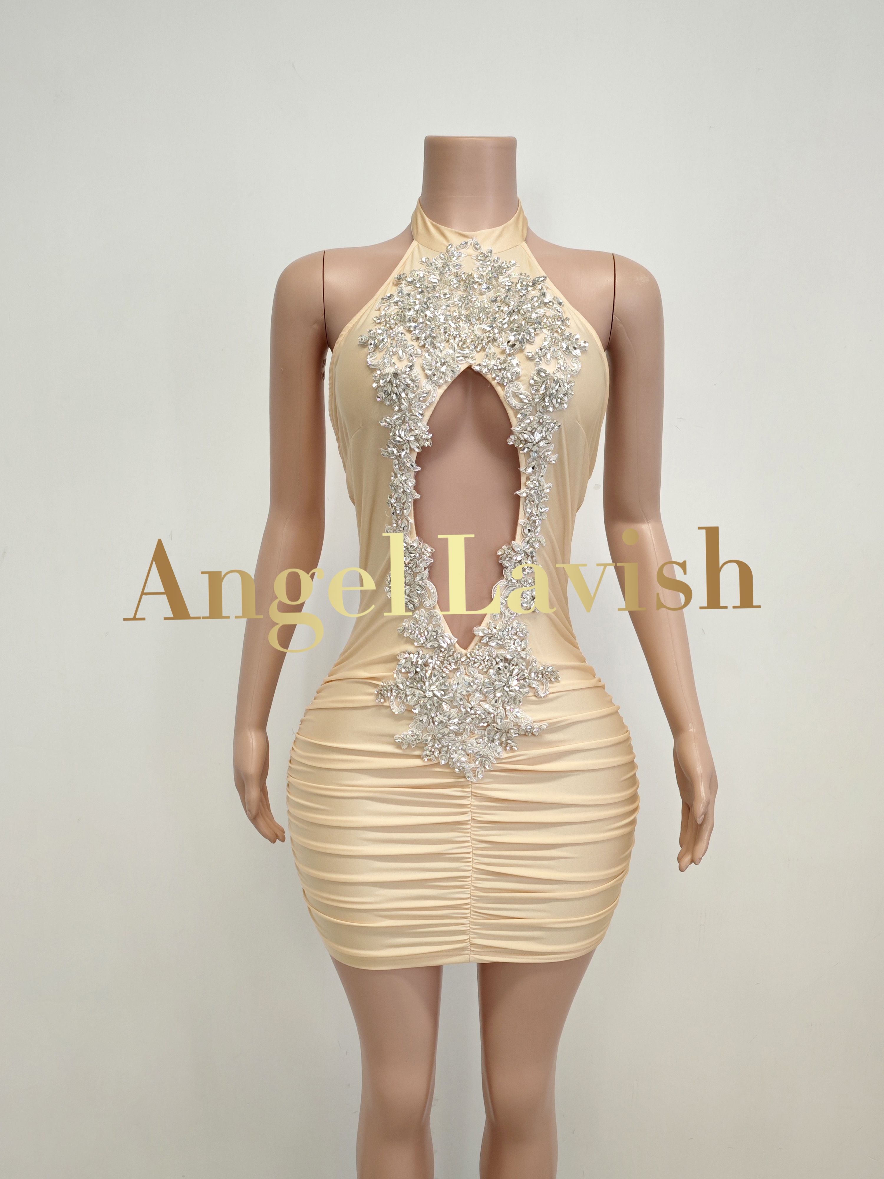 Skin Mini Dress TH2412048