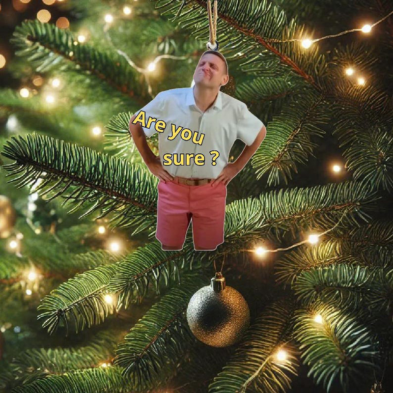 Funny Tim Robinson Zipline Ornament