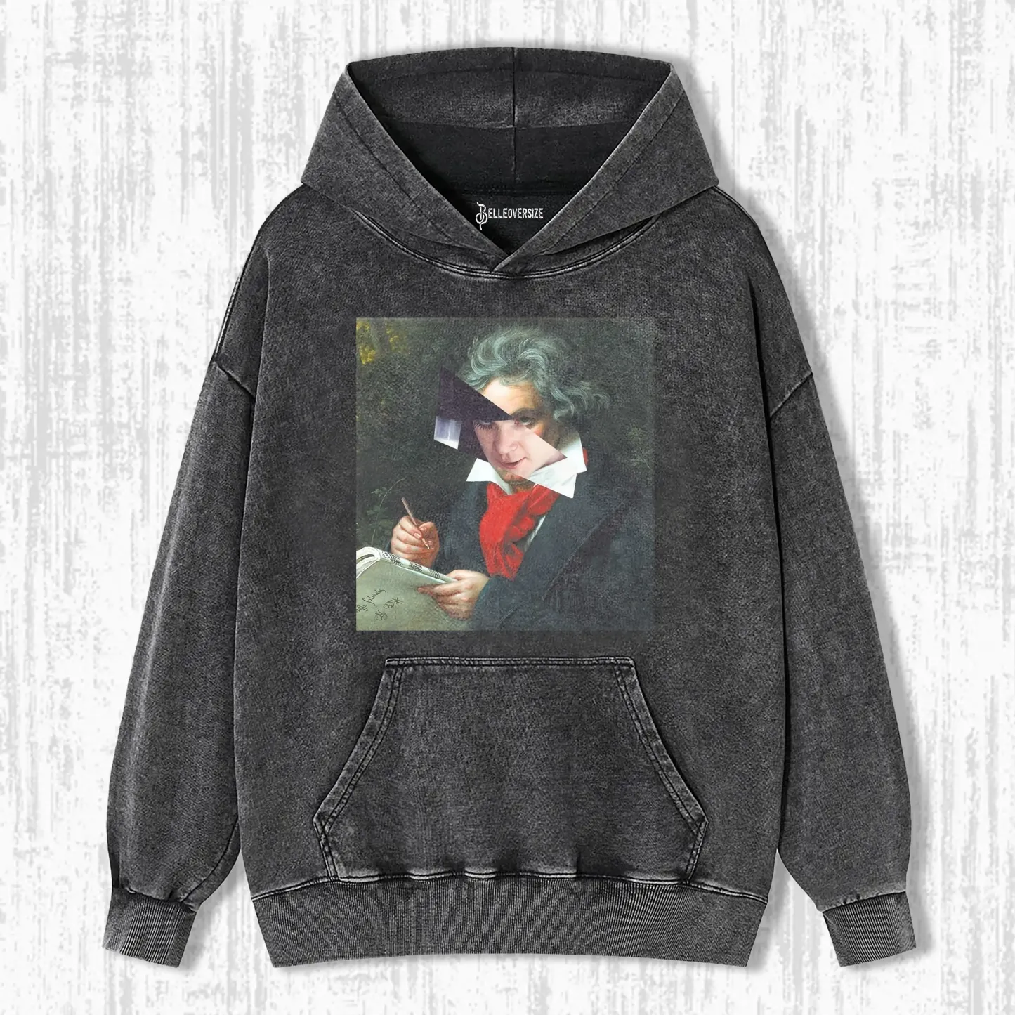 ALEX & LUDWIG VAN BEETHOVEN HOODIE