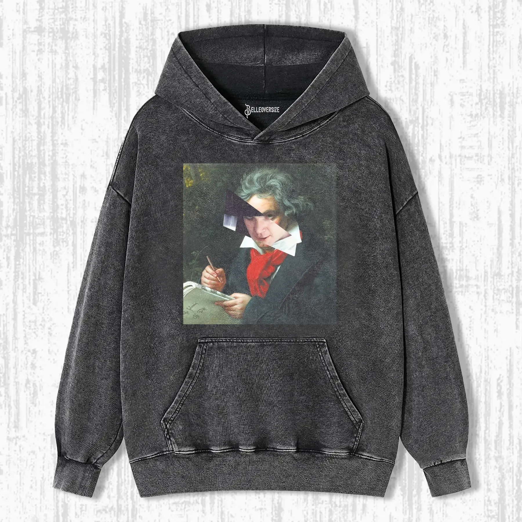 ALEX & LUDWIG VAN BEETHOVEN HOODIE