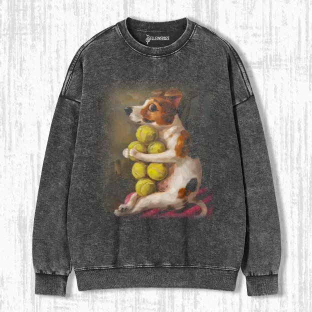 ARCHIE - LOST A BALL AND FOUND SIX  SWEATSHIRTS