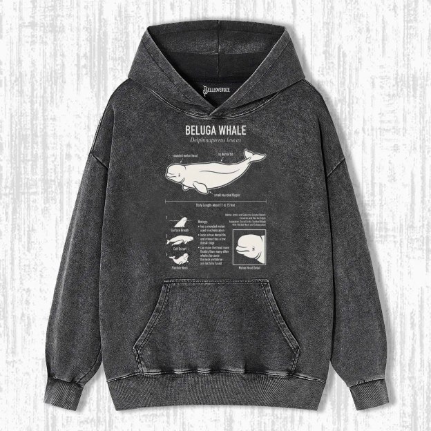BELUGA WHALE ANATOMY HOODIE