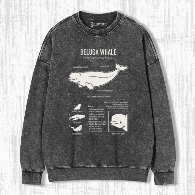 BELUGA WHALE ANATOMY SWEATSHIRTS