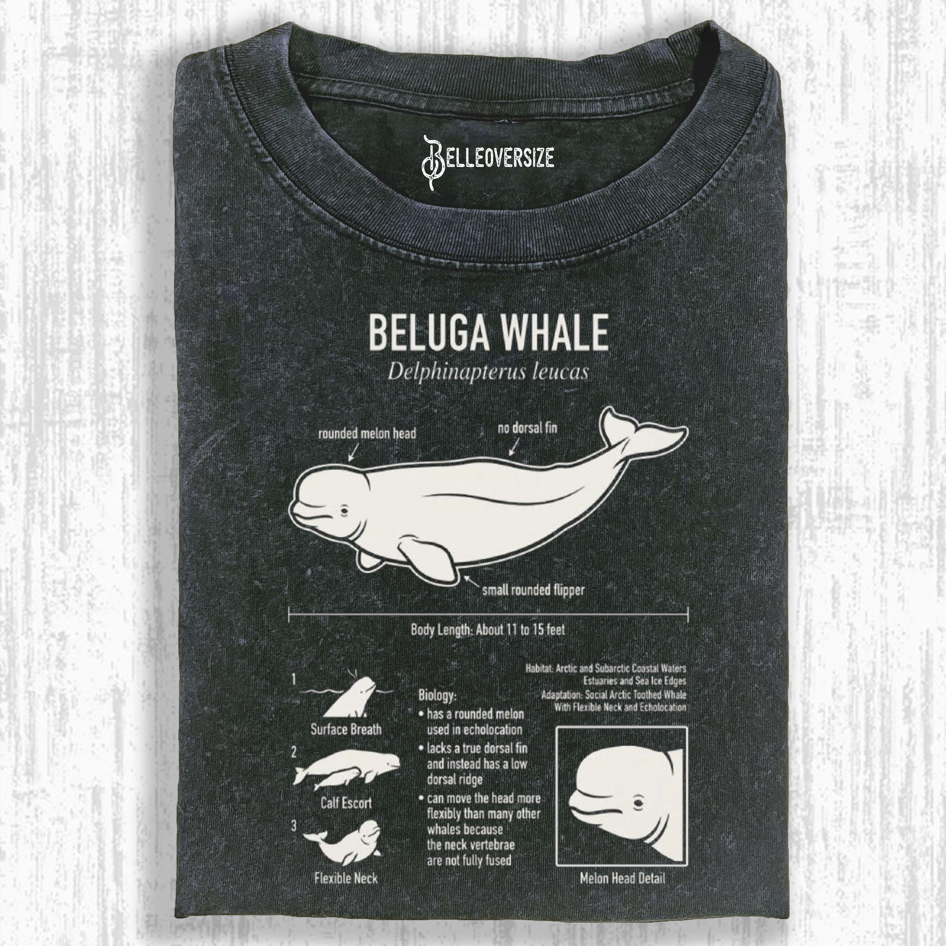 BELUGA WHALE ANATOMY T-SHIRT