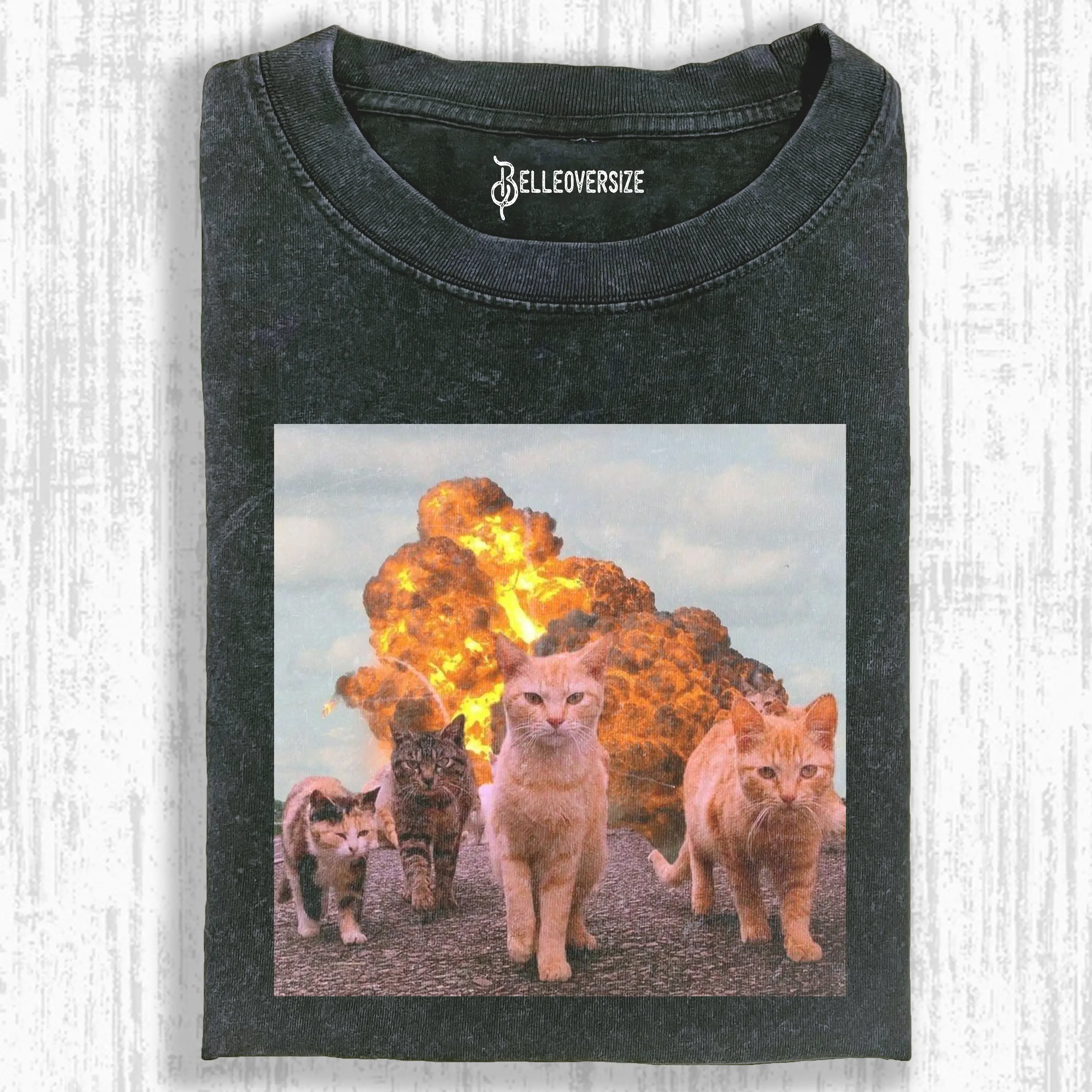 CALM AND COLLECTED CAT  T-SHIRT