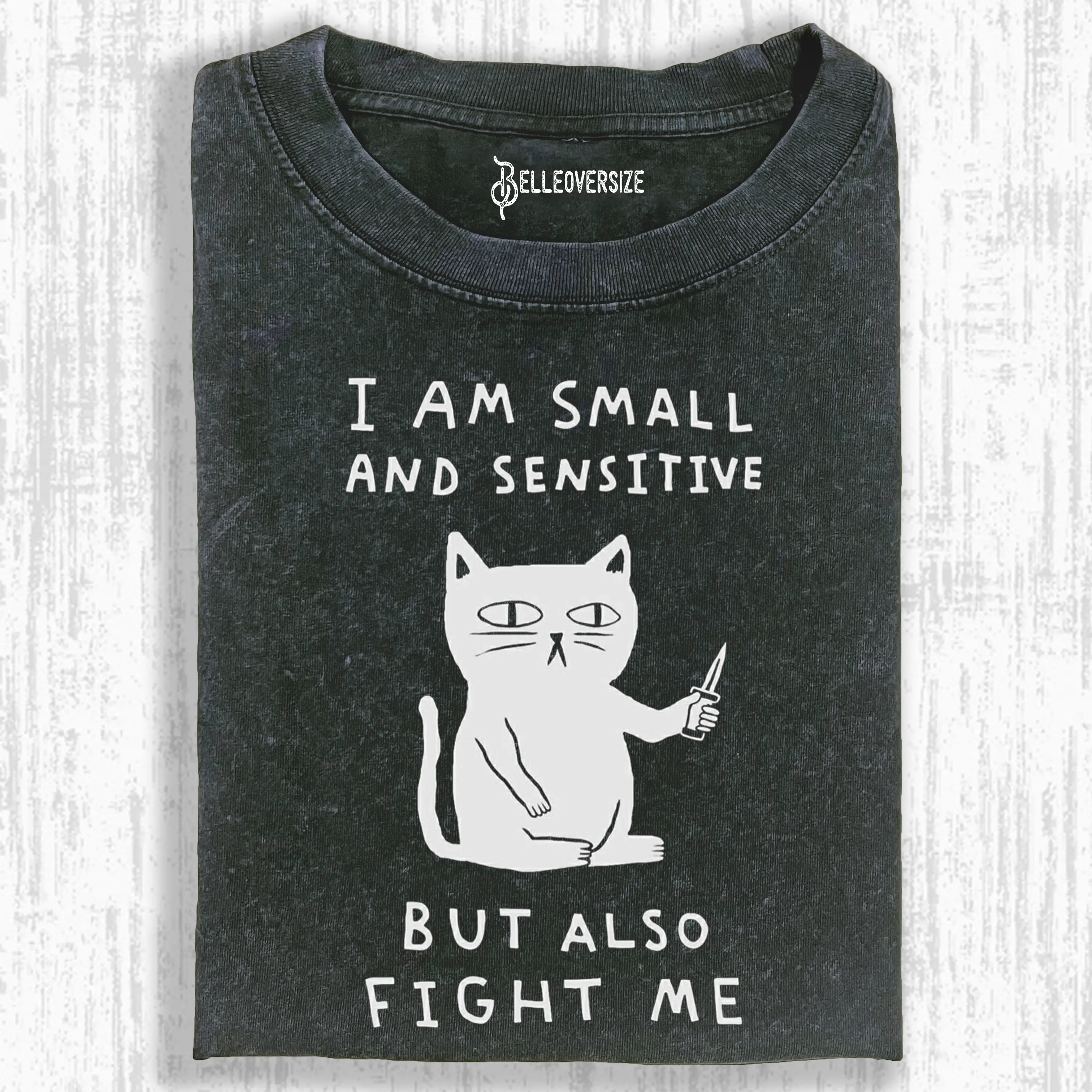 CAT - I AM SMALL AND SENSITIVE BUT ALSO FIGHT ME T-SHIRT