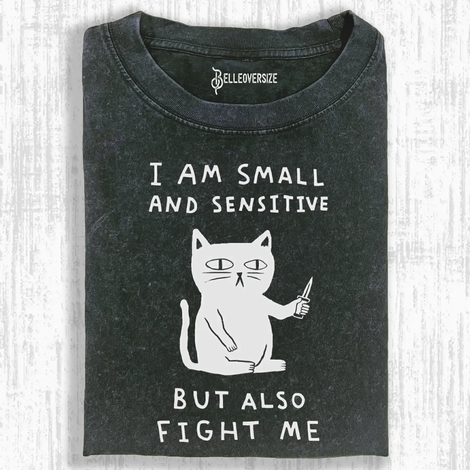 CAT - I AM SMALL AND SENSITIVE BUT ALSO FIGHT ME T-SHIRT