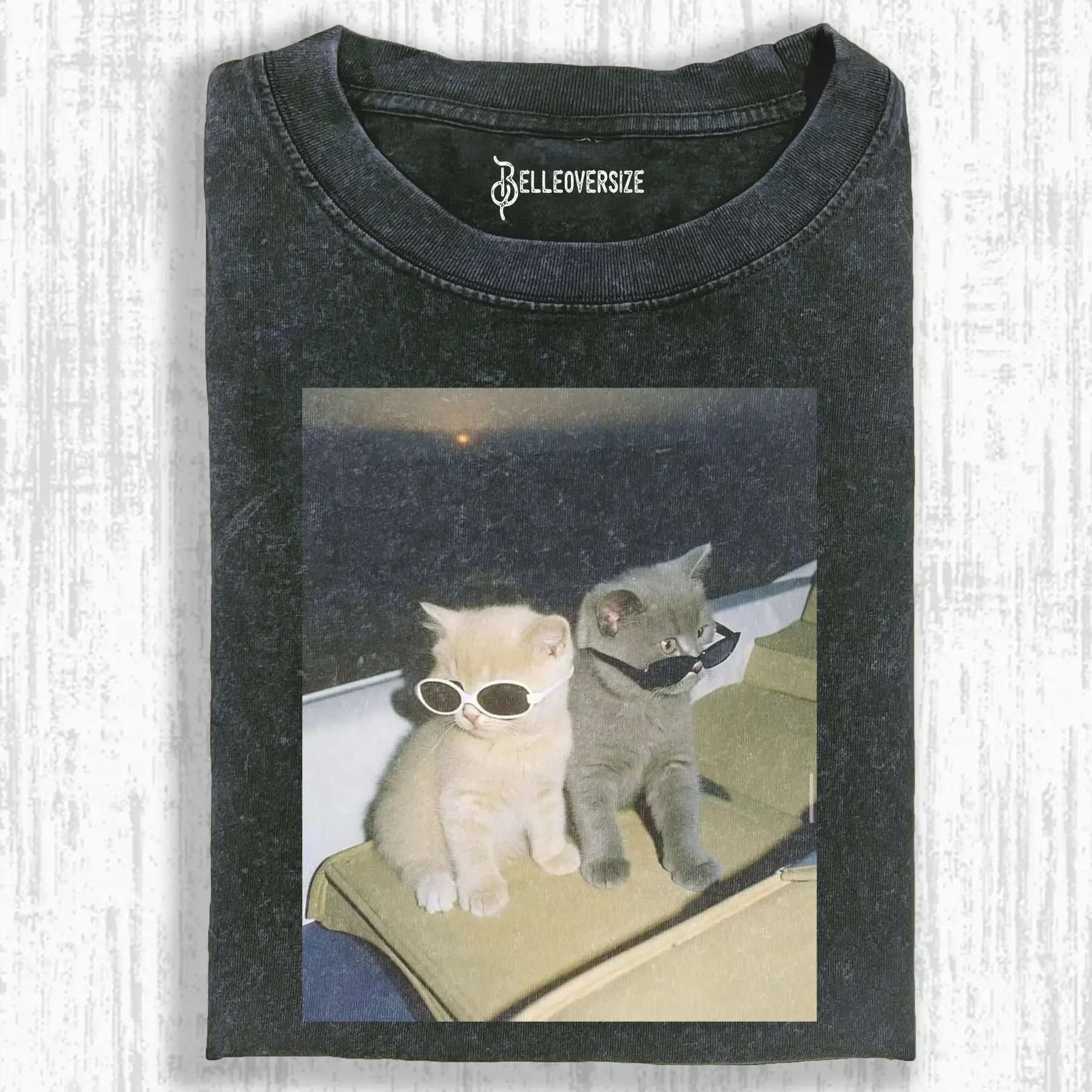 CAT WITH SUNGLASSES T-SHIRT