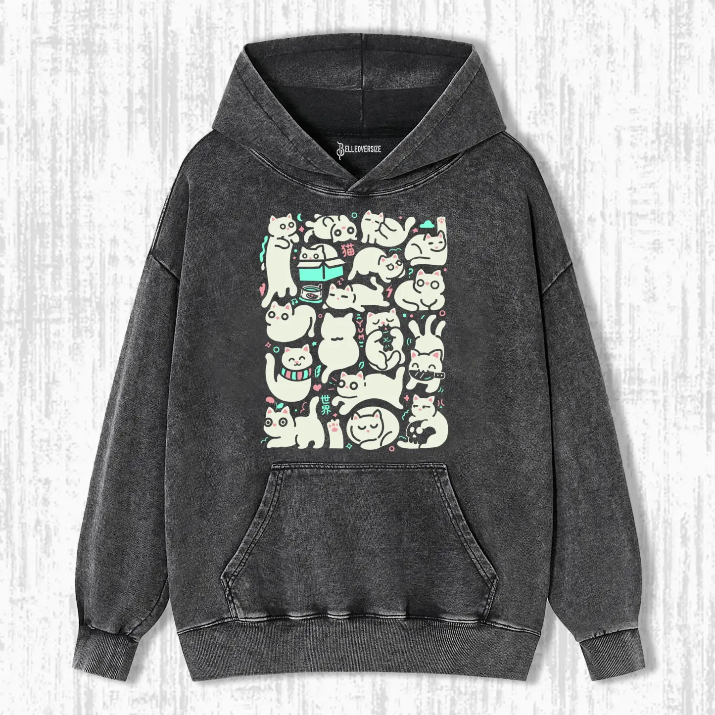 CATS WORLD HOODIE