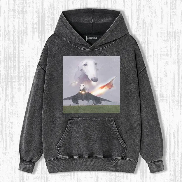 FLYING DOG HOODIE