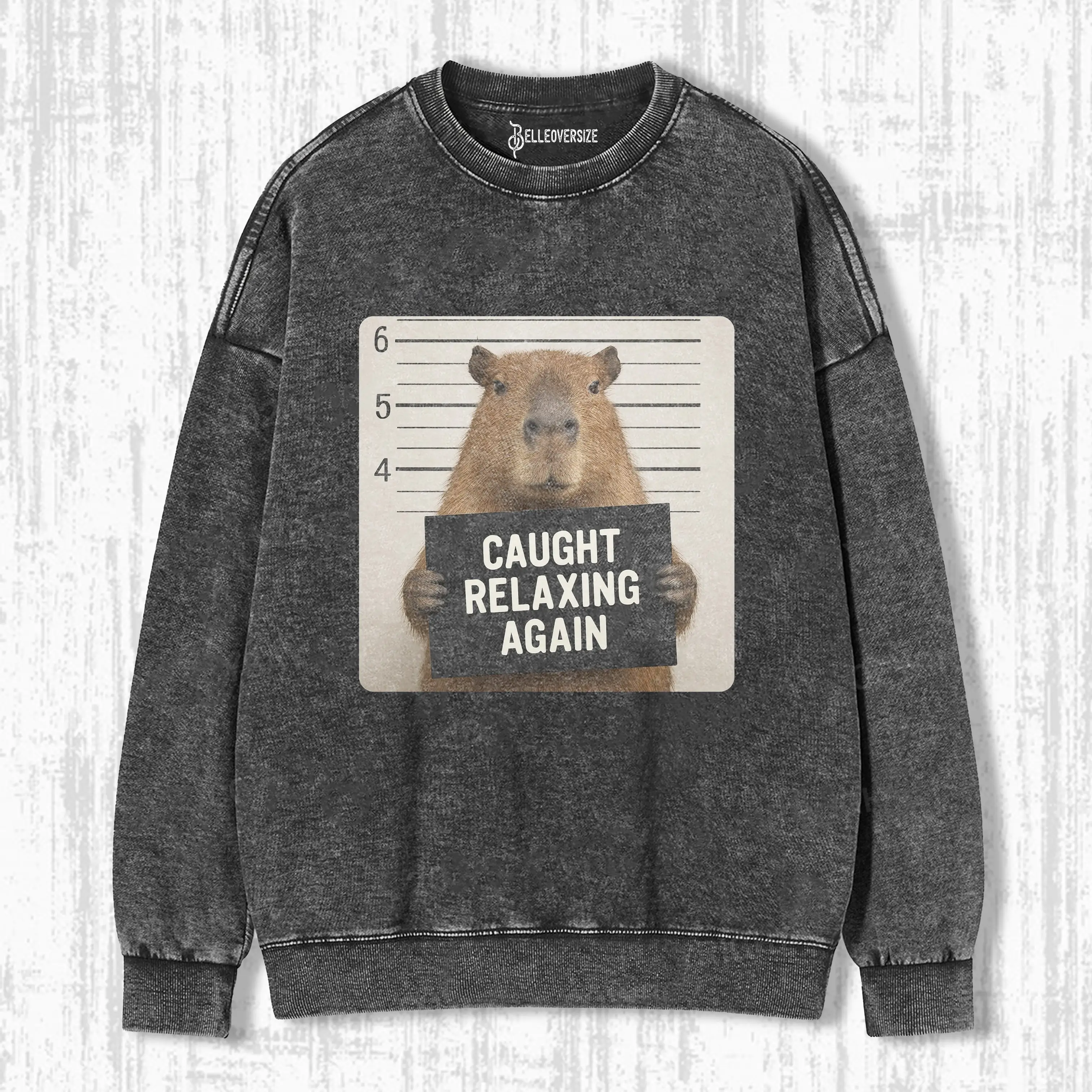 FUNNY CAPYBARA SWEATSHIRTS