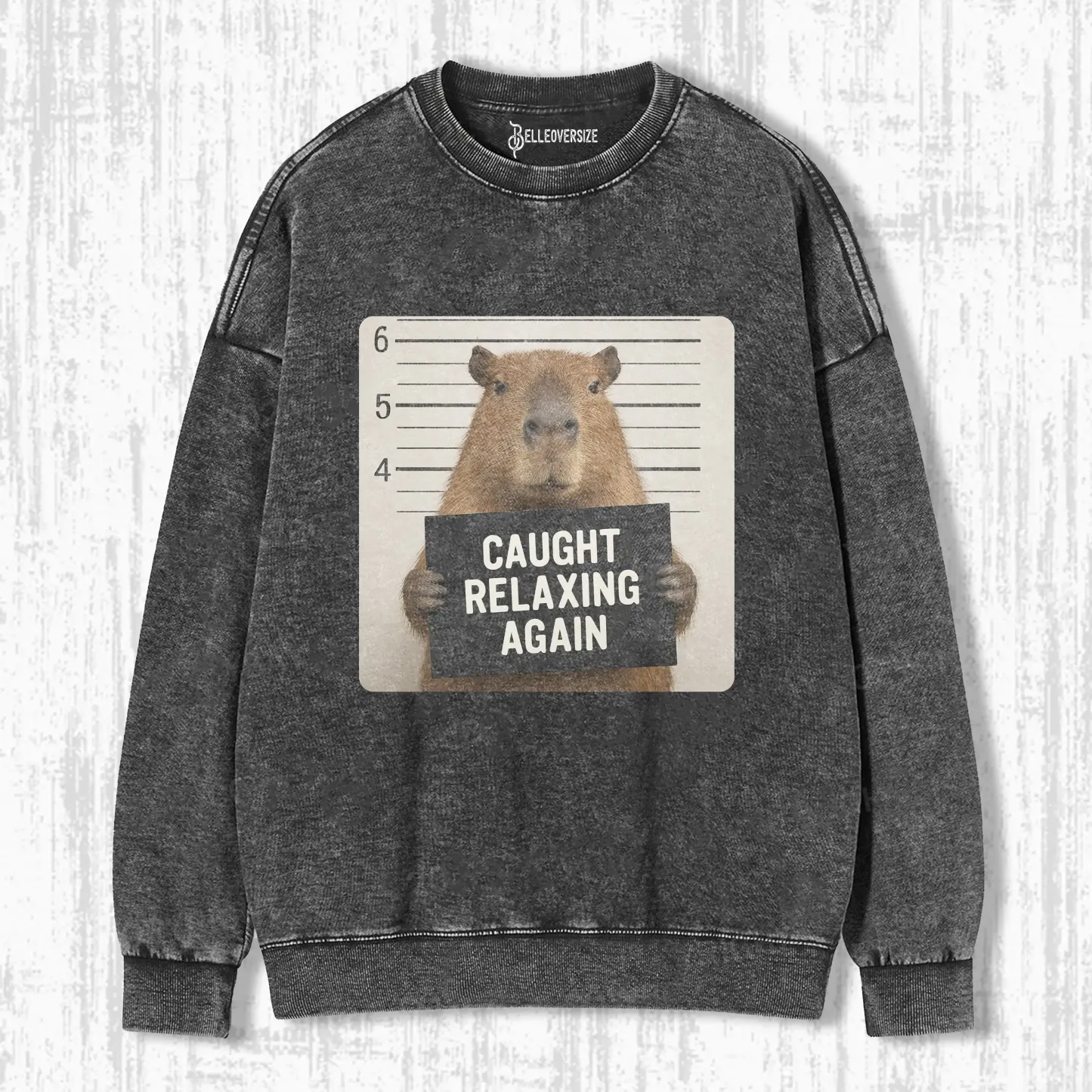 FUNNY CAPYBARA SWEATSHIRTS