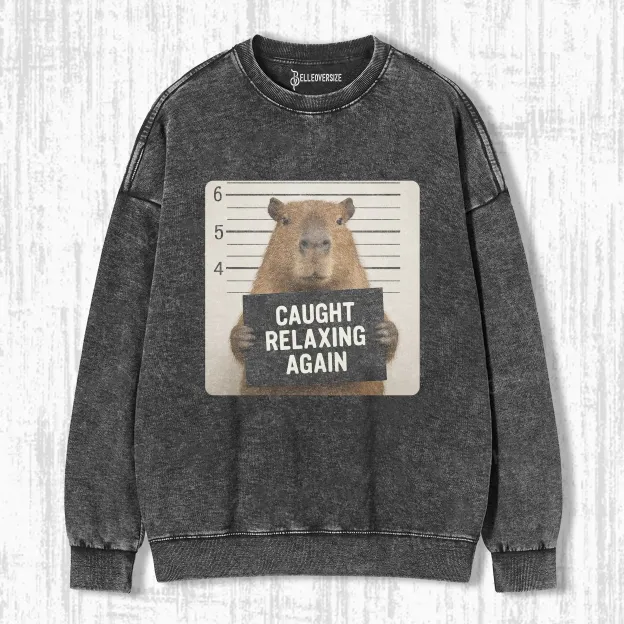 FUNNY CAPYBARA SWEATSHIRTS
