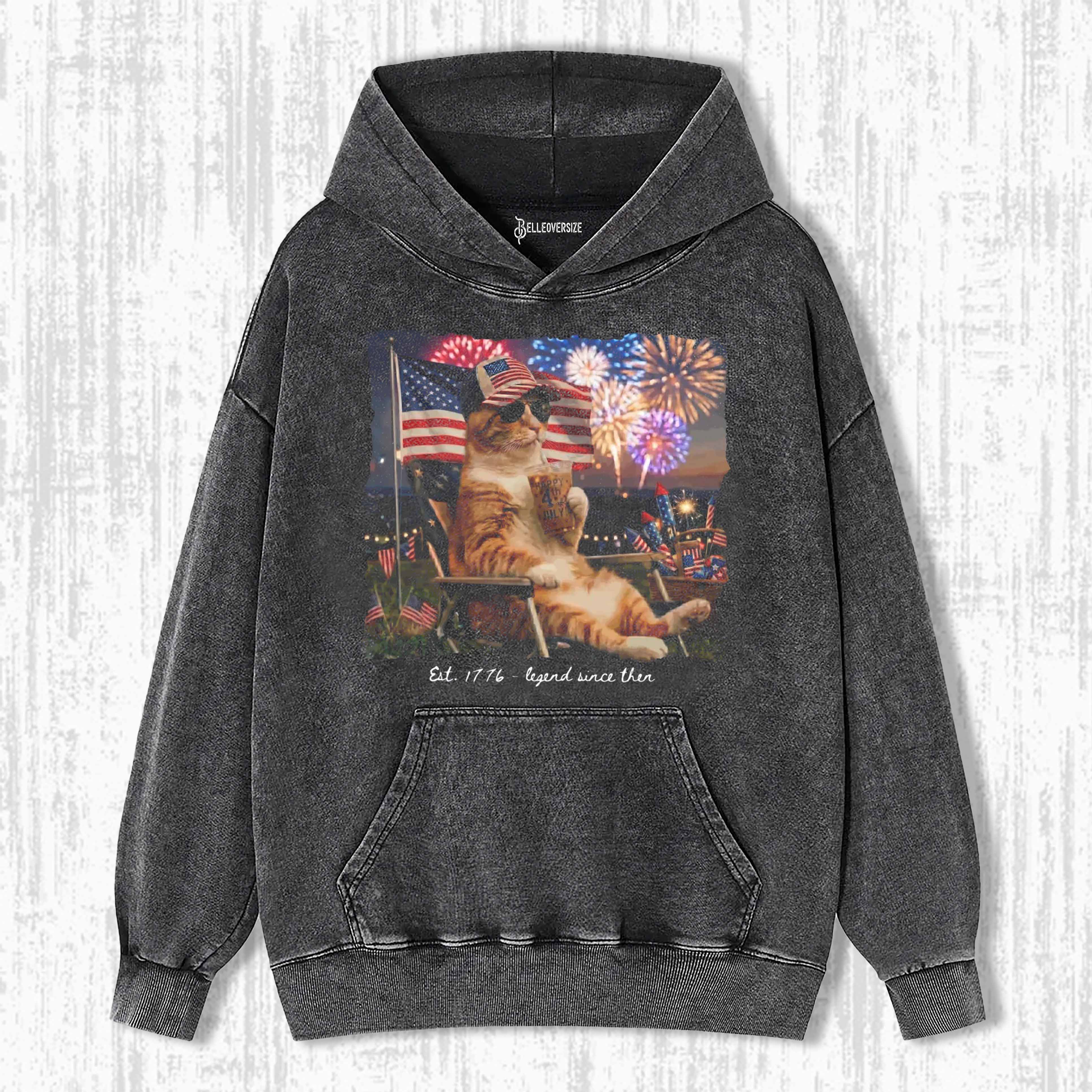 FUNNY PATRIOTIC  CAT HOODIE