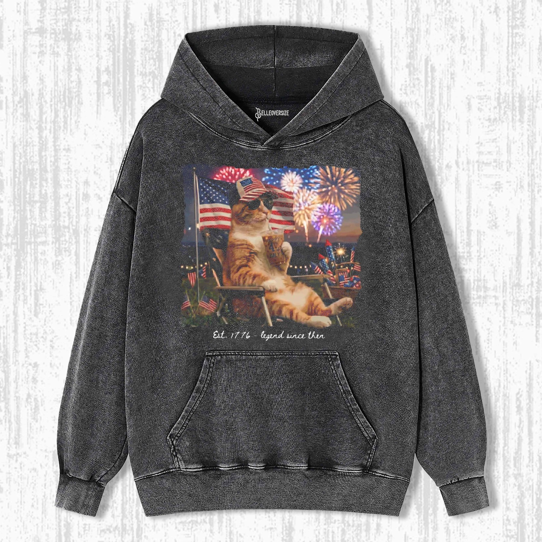 FUNNY PATRIOTIC CAT HOODIE