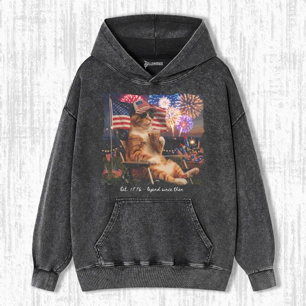 FUNNY PATRIOTIC  CAT HOODIE