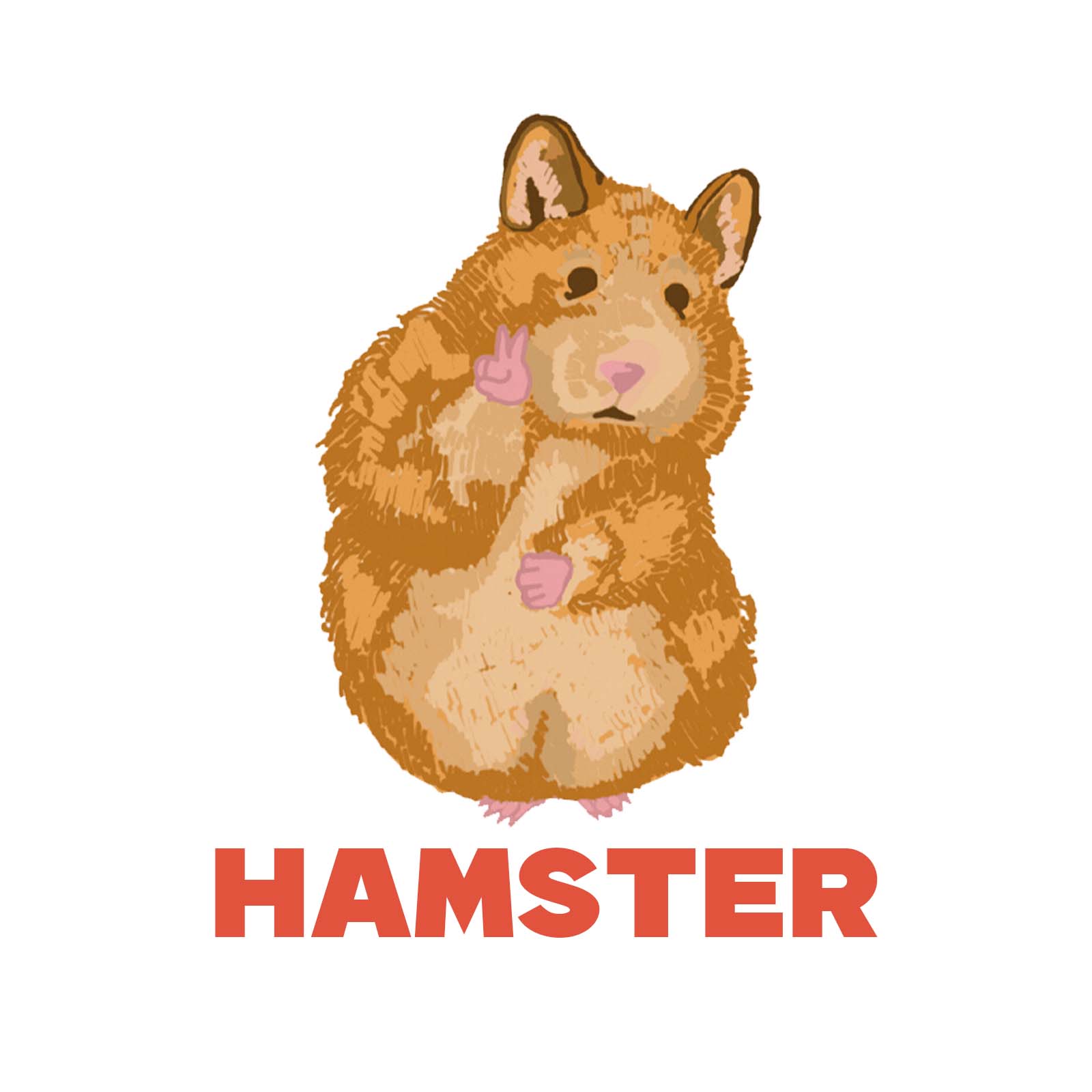 HAMSTER