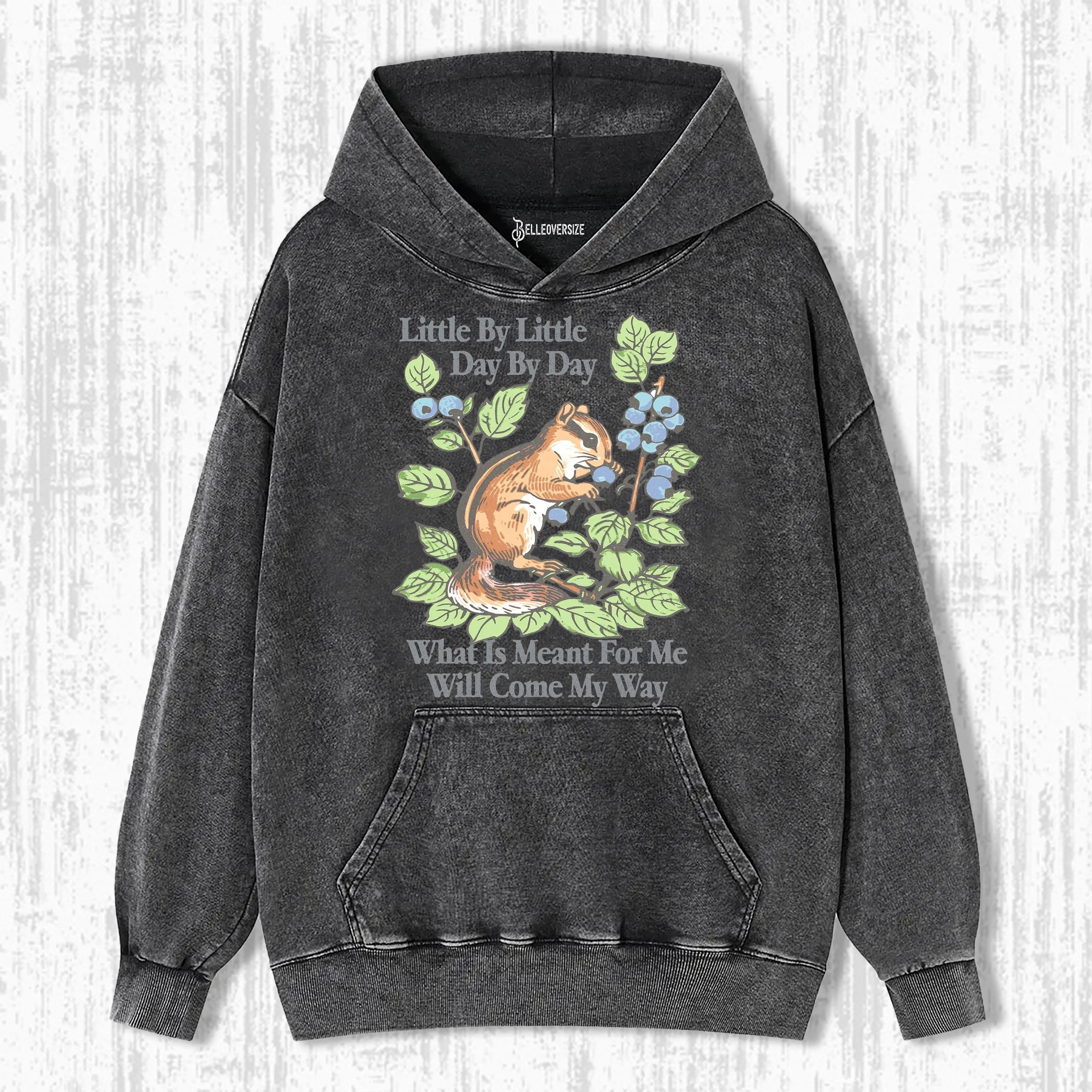 LITTLE BY LITTLE  DAY BY DAY  HOODIE 