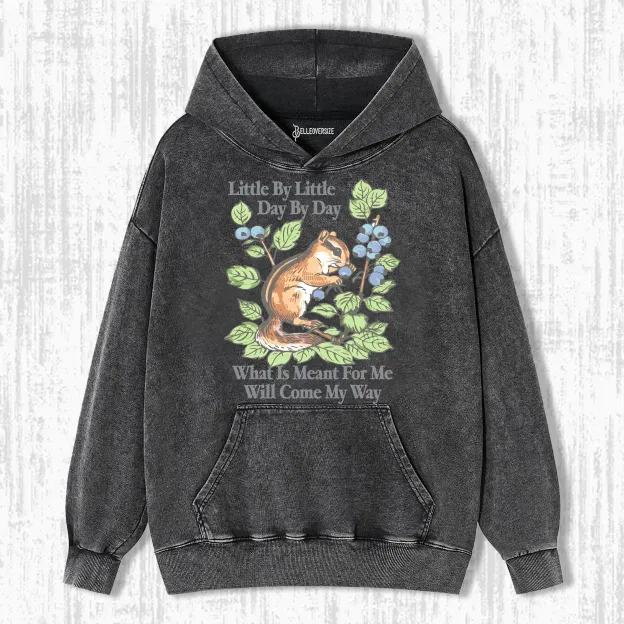 LITTLE BY LITTLE  DAY BY DAY  HOODIE 